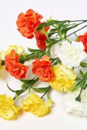 Homescapes Artificial Carnation Spray Single Stem Set of 3, 55cm - thumbnail 3