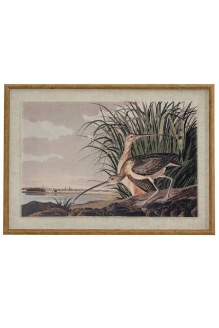 KDMD Flora & Fauna Curlews on Linen Artwork in Beaded Frame in Brown - image 1