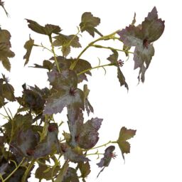 Love Lace Variegated Maple Leaf Artificial Flower in Green - thumbnail 6