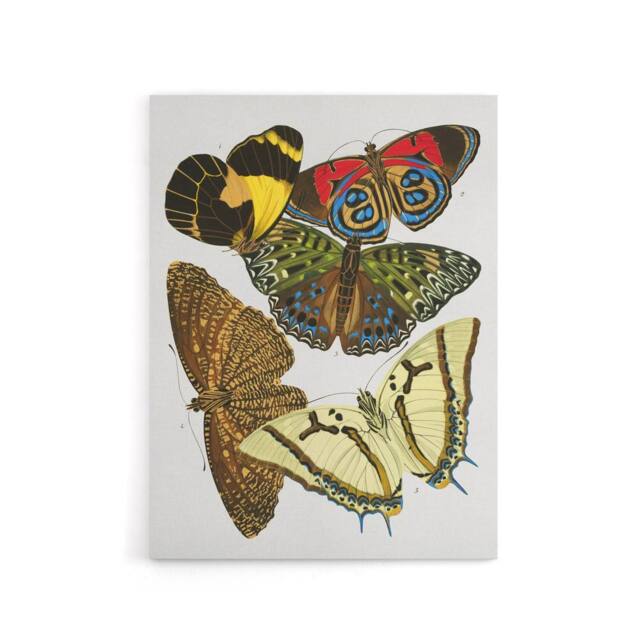 "Artery8 Vintage Butterflies Papillons Canvas Wall Art Print Eugene Seguy - Size: W18"" x H24""" - image 1