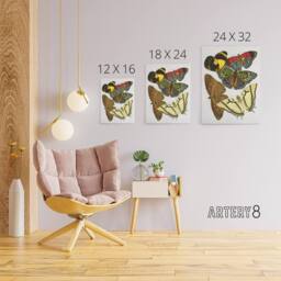 "Artery8 Vintage Butterflies Papillons Canvas Wall Art Print Eugene Seguy - Size: W18"" x H24""" - thumbnail 4