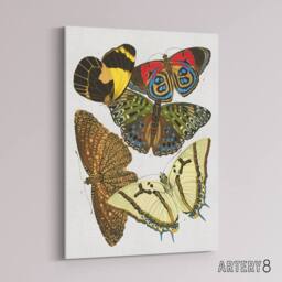 "Artery8 Vintage Butterflies Papillons Canvas Wall Art Print Eugene Seguy - Size: W18"" x H24""" - thumbnail 2