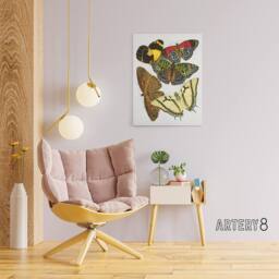 "Artery8 Vintage Butterflies Papillons Canvas Wall Art Print Eugene Seguy - Size: W18"" x H24""" - thumbnail 3