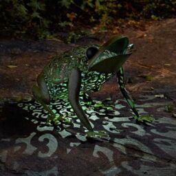Marco Paul 33cm Green Metal Solar Silhouette Frog Ornament - thumbnail 3