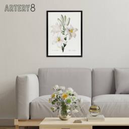 "Artery8 White Lily Botanical Redoute Vintage Black Framed Canvas Wall Art - Size: W18"" x H24""" - thumbnail 3