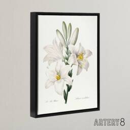 "Artery8 White Lily Botanical Redoute Vintage Black Framed Canvas Wall Art - Size: W18"" x H24""" - thumbnail 2