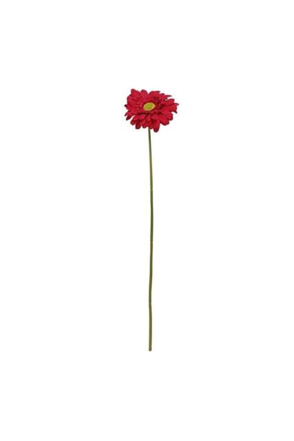 KDMD Single Burgundy Gerbera 72cm 4 Pack in Red - image 1