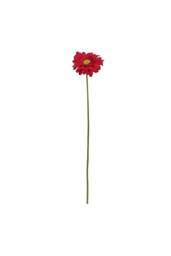 KDMD Single Burgundy Gerbera 72cm 4 Pack in Red - thumbnail 1