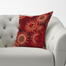 Warren Reed - Designer Abstract Red Moon & Sun Cushions - Size: 60 cm x 60 cm - thumbnail 2