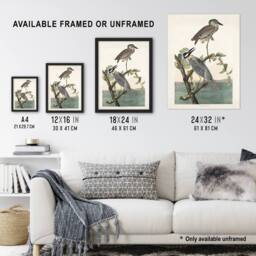"Artery8 Yellow Crowned Heron Audubon Nature Wall Art Print Poster in White - Size: W18"" x H24""" - thumbnail 3