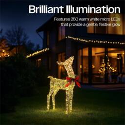 mysmartbuy 74 cm Gold Rattan Deer - 250 Warm White LEDs, 5 m Cable, Transformer - thumbnail 6