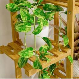 Nordara 40x20.2x102cm 5/6 Tier Ladder Shelf Storage Plant Stand Display in Beige - Size: Small - thumbnail 6