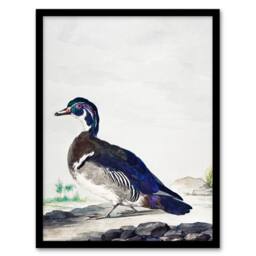Artery8 Aert Schouman Framed Wall Art Wood Duck Vintage Bird Oil Painting in White - Size: A4 - thumbnail 1