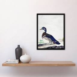 Artery8 Aert Schouman Framed Wall Art Wood Duck Vintage Bird Oil Painting in White - Size: A4 - thumbnail 2