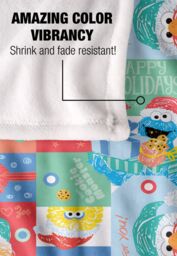 Sesame Street Happy Holiday Squares Pattern Silky Touch Super Soft Throw Blanket 152 X 127 cm in White - thumbnail 4
