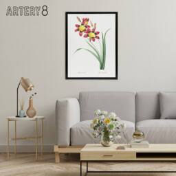 "Artery8 Harlequin Flowers Floral Redoute Vintage Black Framed Canvas Wall Art in White - Size: W12"" x H16""" - thumbnail 3