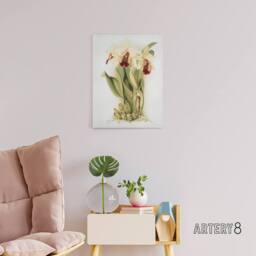 "Artery8 Frederick Sander Cattleya Aurea Orchid Flowers Canvas Wall Art Print in White - Size: W12"" x H16""" - thumbnail 3