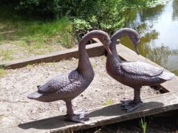 Inspirational Gifting Pair of Geese Sculptures Garden Ornament in Bronze - thumbnail 6