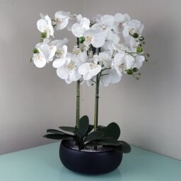 Leaf 60cm Orchid Artificial White Black Ceramic Planter in Green