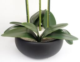 Leaf 60cm Orchid Artificial White Black Ceramic Planter in Green - thumbnail 6