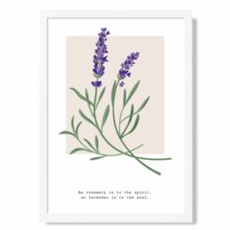 ARTZE Lavender Plant & Quote Flower Market Simplicity Framed Print SIZE: A4 with White Frame in Purple