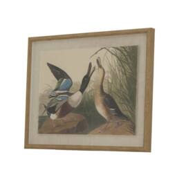 Sostter Framed Mallard Duck Art on Linen Canvas in Beige - thumbnail 1