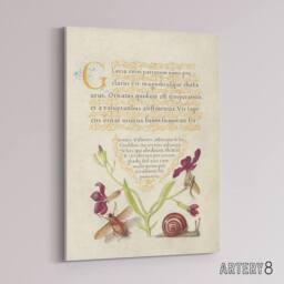 "Artery8 Gillyflower Fly Mayfly & Snail Calligraphy Canvas Wall Art Print in Beige - Size: W18"" x H24""" - thumbnail 2