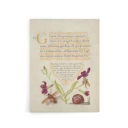"Artery8 Gillyflower Fly Mayfly & Snail Calligraphy Canvas Wall Art Print in Beige - Size: W18"" x H24""" - thumbnail 1