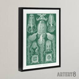 "Artery8 Cubomedusae Jellyfish Species Haeckel Botanical Framed Canvas Wall Art in Green - Size: W12"" x H16""" - thumbnail 2