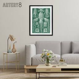 "Artery8 Cubomedusae Jellyfish Species Haeckel Botanical Framed Canvas Wall Art in Green - Size: W12"" x H16""" - thumbnail 3