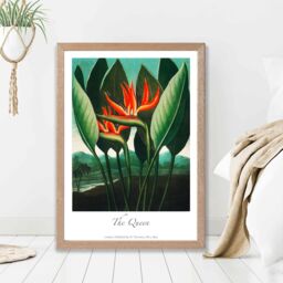 ARTZE Vintage Floral Exhibition - The Queen Tropical Flower Framed Print SIZE: A2 with Oak Frame in Red - thumbnail 2