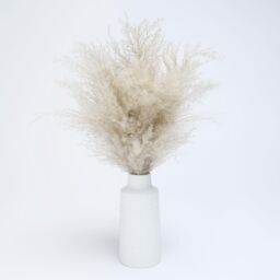 OHS Pampas Grass Faux Fluffy in Vase Artificial Natural Style Plant Decorative Home in Green - thumbnail 5
