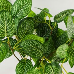 Leaf Large Artificial Foliage Plant Pot Plastic weighted pot 40cm Artificial Pothos Botanik in Green - thumbnail 2