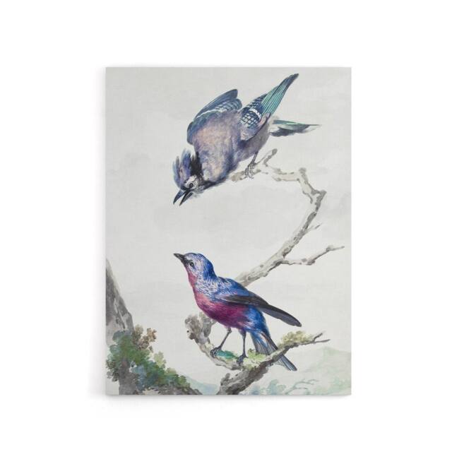 "Artery8 Blue Jay & a Purple Breasted Cotinga Schouman Canvas Wall Art Print in White - Size: W18"" x H24""" - image 1