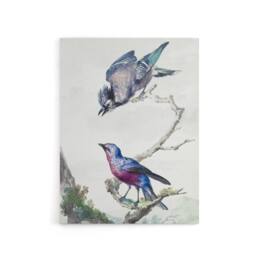"Artery8 Blue Jay & a Purple Breasted Cotinga Schouman Canvas Wall Art Print in White - Size: W18"" x H24""" - thumbnail 1