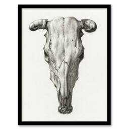 Artery8 Skull of a Cow Pencil Drawing Bernard Vintage Framed Wall Art Print in White - Size: A4 - thumbnail 1