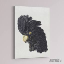 "Artery8 Head of a Black Cockatoo Watercolour Schouman Canvas Wall Art Print in White - Size: W12"" x H16""" - thumbnail 2