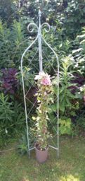 Inspirational Gifting Verdigris Folding Obelisk Plant Support Stake Trellis for Climbing Plants in Green