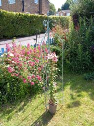 Inspirational Gifting Verdigris Folding Obelisk Plant Support Stake Trellis for Climbing Plants in Green - thumbnail 2