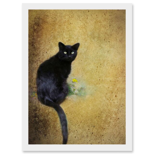 Artery8 Black Cat With Yellow Flower Artwork Framed Wall Art Print A4 in White - image 1