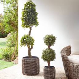 Wyld and Coco Light Brown PE Rattan Planter Set of 2 with Plastic Inserts - thumbnail 1