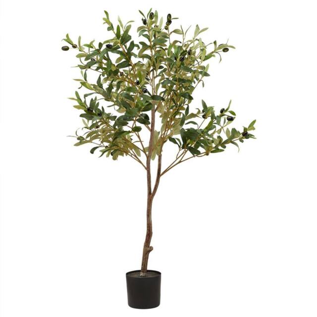 Lemon Pavilion Furniture and Decor Calabria Small Olive Tree - Plastic - L17 x W17 x H100 cm - Green