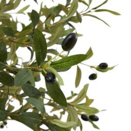 Lemon Pavilion Furniture and Decor Calabria Small Olive Tree - Plastic - L17 x W17 x H100 cm - Green - thumbnail 2