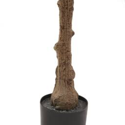 Lemon Pavilion Furniture and Decor Calabria Small Olive Tree - Plastic - L17 x W17 x H100 cm - Green - thumbnail 3