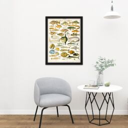 "Artery8 Wall Art Print Millot Encyclopedia Page Variety Sea Fish Large Framed Wall Décor Art in White - Size: W18"" x H24""" - thumbnail 2