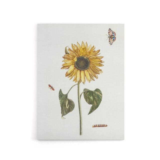 "Artery8 Sunflower Caterpillar & Two Butterflies Teyler Canvas Wall Art in White - Size: W18"" x H24""" - image 1