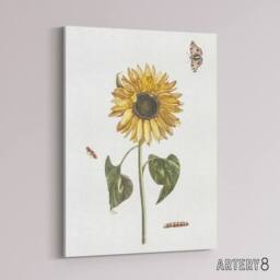 "Artery8 Sunflower Caterpillar & Two Butterflies Teyler Canvas Wall Art in White - Size: W18"" x H24""" - thumbnail 2