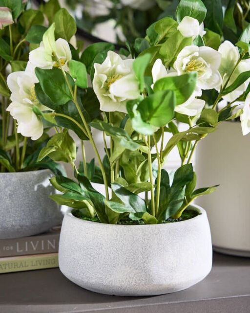 Dibor White Hellebore Flowers in Round Blue Flower Vase H41 x Dia38cm - Size: Medium