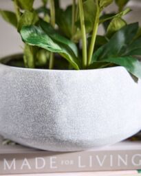 Dibor White Hellebore Flowers in Round Blue Flower Vase H41 x Dia38cm - Size: Medium - thumbnail 2