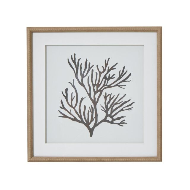 Hill Interiors Reef Coral Framed Print in Dark Brown - image 1
